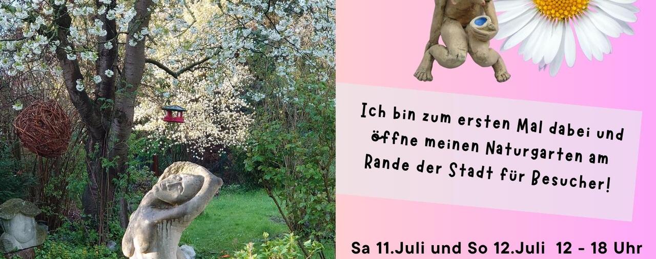Komm doch im Juli in meinen Garten